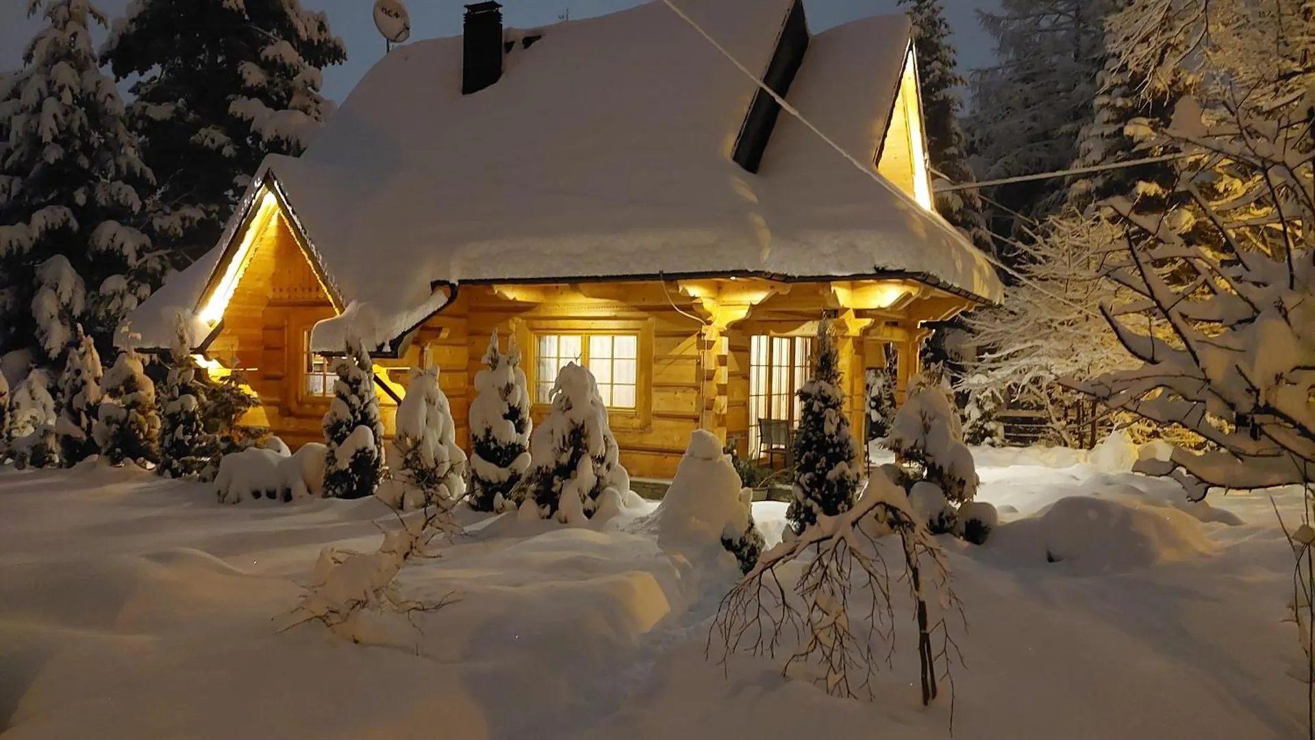 Bialy Puch Villa Zakopane 0*,  Poland